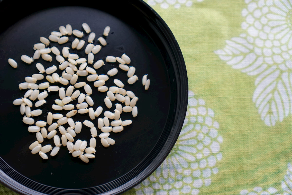 自宅で簡単！「発芽玄米」の作り方　手軽に栄養アップ
